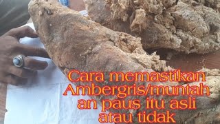 Cara memastikan Ambergris Muntahan Paus itu asli atau tidak [upl. by Ardnassak]