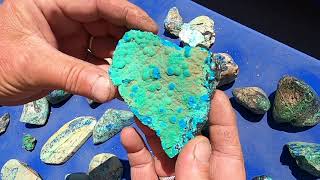 Gem Silica Chrysocolla with Richard T Grzych Tucson 2021 Gem Show [upl. by Noreen]