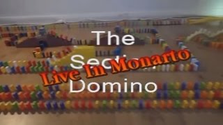 The Section Domino Live In Monarto [upl. by Ahs]