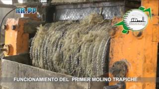 FUNCIONAMIENTO DEL PRIMER MOLINO TRAPICHE EN HD [upl. by Najram]