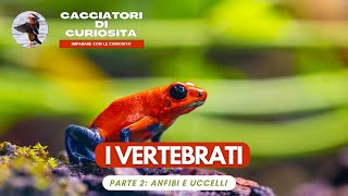 Animali VERTEBRATI  Parte 2 Anfibi e Uccelli per la scuola primaria [upl. by Longmire]