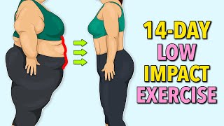 14Day Low Impact Standing Exercise – Lose Belly Fat Without Jumping [upl. by Mortensen]