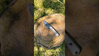 Das FRITZ MEINECKE Messer  EXTREM HÄRTETEST 🔥 Video ⬇️ bushcraft [upl. by Fleisig]