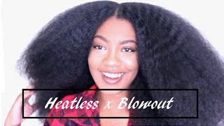 Heatless BLOWOUT Natural Hair [upl. by Cosenza]