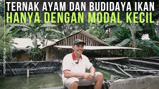 Untung Besar Hanya Ternak Ayam dan Budidaya Ikan Disamping Rumah [upl. by Couhp]