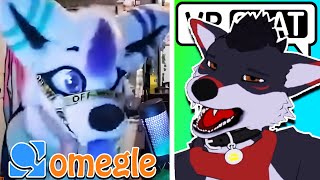 My Last Omegle Video [upl. by Ashely883]