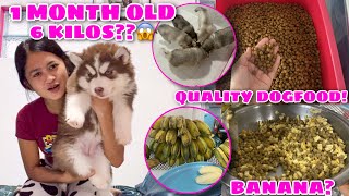 What Do We Feed Our Pups To Make Them Healthy  VLOGMAS ‘22 Day 21  Husky Pack TV [upl. by Mears]