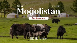 Moğolistan Turu I Teaser [upl. by Aihsercal133]