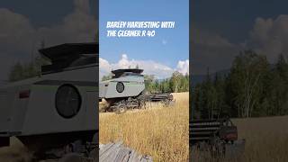 The Gleaner R 40  Dog almost gets gleaned [upl. by Aremus]