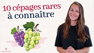 10 cépages rares à connaître cépages quotoubliésquot [upl. by Batchelor]