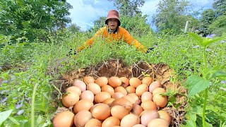 wow amazing pick a lot of eggs on the hive under a tree pick by hand [upl. by Grassi]