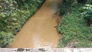 Hutan Lipur Bukit Lagongselayang [upl. by Montagu]