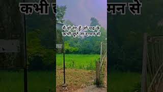 Dillagi Hindi song  Soulful song  love status rahatfatahalikhan dillagi hindisong nature [upl. by Raleigh]