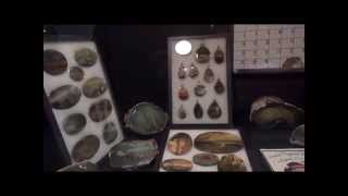 quartzsite pow wow rock and gem show 2015 showcase displays [upl. by Nevin84]