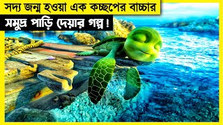 সদ্য জন্ম নেয়া কচ্ছপের বাচ্চার সমুদ্র পাড়ি দেয়ার গল্প  গল্পটা মন ভালো করে দিবে। [upl. by Iramaj]