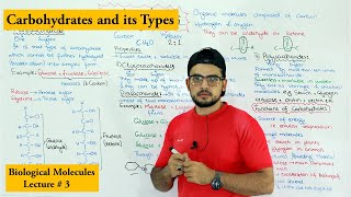 Carbohydrates  A type of biological molecule  Functions and Classification [upl. by Willem555]