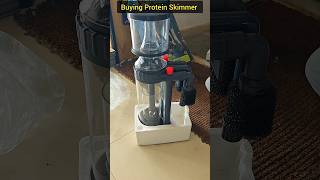 Buying Protein skimmer for my Marine Tank boyu protien protienskimmer syed marine fishtank [upl. by Sprage]