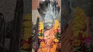 Manasadevi palabhishekamManasadevi abhishekamManasadevi Amma vizianagaramManasadevi Amma 🙏🏻🙏 [upl. by Arreis]