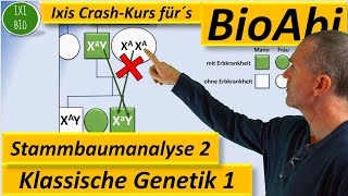 Klassische Genetik 2 Stammbaumanalyse 2  Genotypen begründen bei Xchromosomal rezessiven Erbgängen [upl. by Terriss]