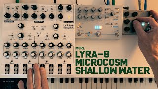 More exploration of the Shallow Water pedal with the Soma Lyra8 and Hologram Electronics Microcosm [upl. by Annotahs]