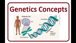 Genetics and Omics Technologies  2024 [upl. by Analos148]