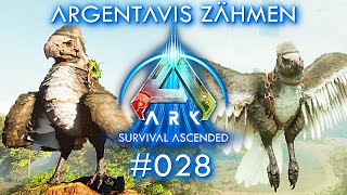 Ark Survival Ascended Argentavis Tame ASA deutsch gameplay [upl. by Nanfa107]