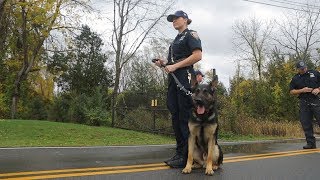 Police Dog Training your best friend [upl. by Gearard]