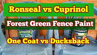 Ronseal One Coat Against Cuprinol Ducksback Comparing Forest Green Fence and Shed Paint [upl. by Aibos]