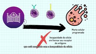 Maturação de Linfócitos [upl. by Lemor]