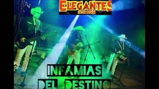 ELEGANTES DE OBREGON  INFAMIAS DEL DESTINO en vivo💯🪗👍 [upl. by Ditmore]