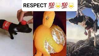 Respect video 🥶😱🥶  like a boss compilation 💯🌟💯  amazing people💨💨💨 [upl. by Yensehc]