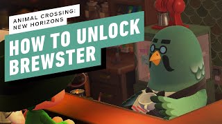 Animal Crossing New Horizons Guide  How to Get Brewster in ACNH 20 [upl. by Ahsimek228]