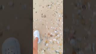 Beach full of shells🐚🐚 Sam Pak Wan Beach Hong Kong beach hongkong hongkongbeach travelvlog [upl. by Hussar]