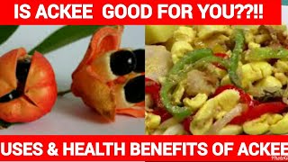 USES amp HEALTH BENEFITS OF ACKEE [upl. by Enej880]