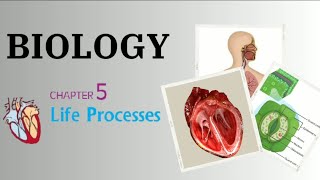 cbse biology tubectomy humanreproductionfemale [upl. by Veronica]