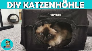 DIY Haus für Katzen  Katzenhöhle selber bauen in 2 Minuten ✅ [upl. by Ramat]