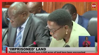 Prisons PS Salome Muhia says 4000 acres of land has been encroached on [upl. by Olivette]