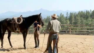 How to Use Spurs on Your Horse with Pat Parelli [upl. by Strader330]