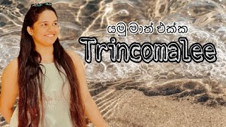 යමු මාත් එක්ක TRINCOMALEE 🪼🐠🌊family trip December vacation pigeon island 🏝️ [upl. by Ahsinauj]