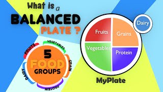 The Food Pyramid for Kids  Balanced Diet  Food Groups And Nutrition  Healthy Plate for Kids [upl. by Lindgren522]