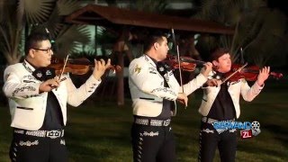 Mariachi Sol De Mi Tierra  Vuela Paloma En Vivo 2016 [upl. by Bruckner160]