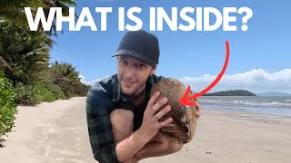 Exploring Port Douglas  Aus Travel Vlog  Ep33 [upl. by Rebmetpes]