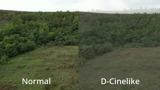 Normal vs DCinelike DJI Mini 3 Pro No color grading [upl. by Tarrsus]