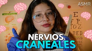 ASMR  TEST RÁPIDO e IMPREDECIBLE de NERVIOS CRANEALES 8  Roleplay Español [upl. by Florine850]