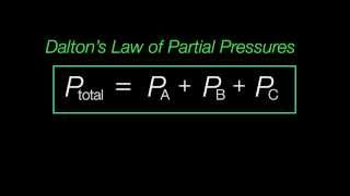 Daltons Law of Partial Pressures Explained [upl. by Fair]