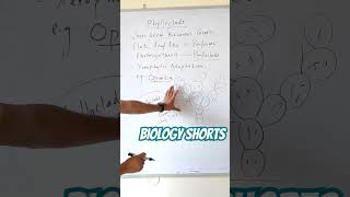 What is Phylloclade viralbiology biology botany taxonomy [upl. by Eelahc387]