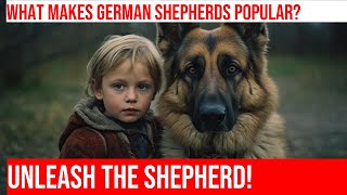 Top 10 Amazing German Shepherd Facts [upl. by Iong]