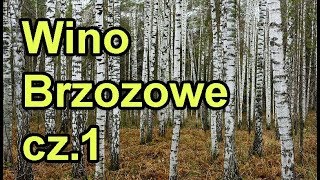 Wino Brzozowe  przepis  Wino oskołowe  Wino z Brzozy cz1 [upl. by Hcab]