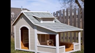 10 Fantásticas Casas de Cachorro FOTOS 10 Fantastic Dog Houses [upl. by Alleuol]