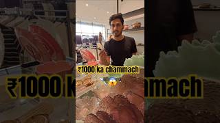 ₹1000 ka chammach 🥄west side ma 😱 minivlog vlog shorts [upl. by Htbazile638]